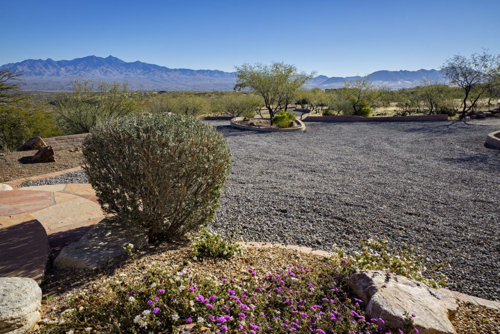 Homes for Sale in Tubac Foothills Ranch, Tubac, AZ Sally Robling