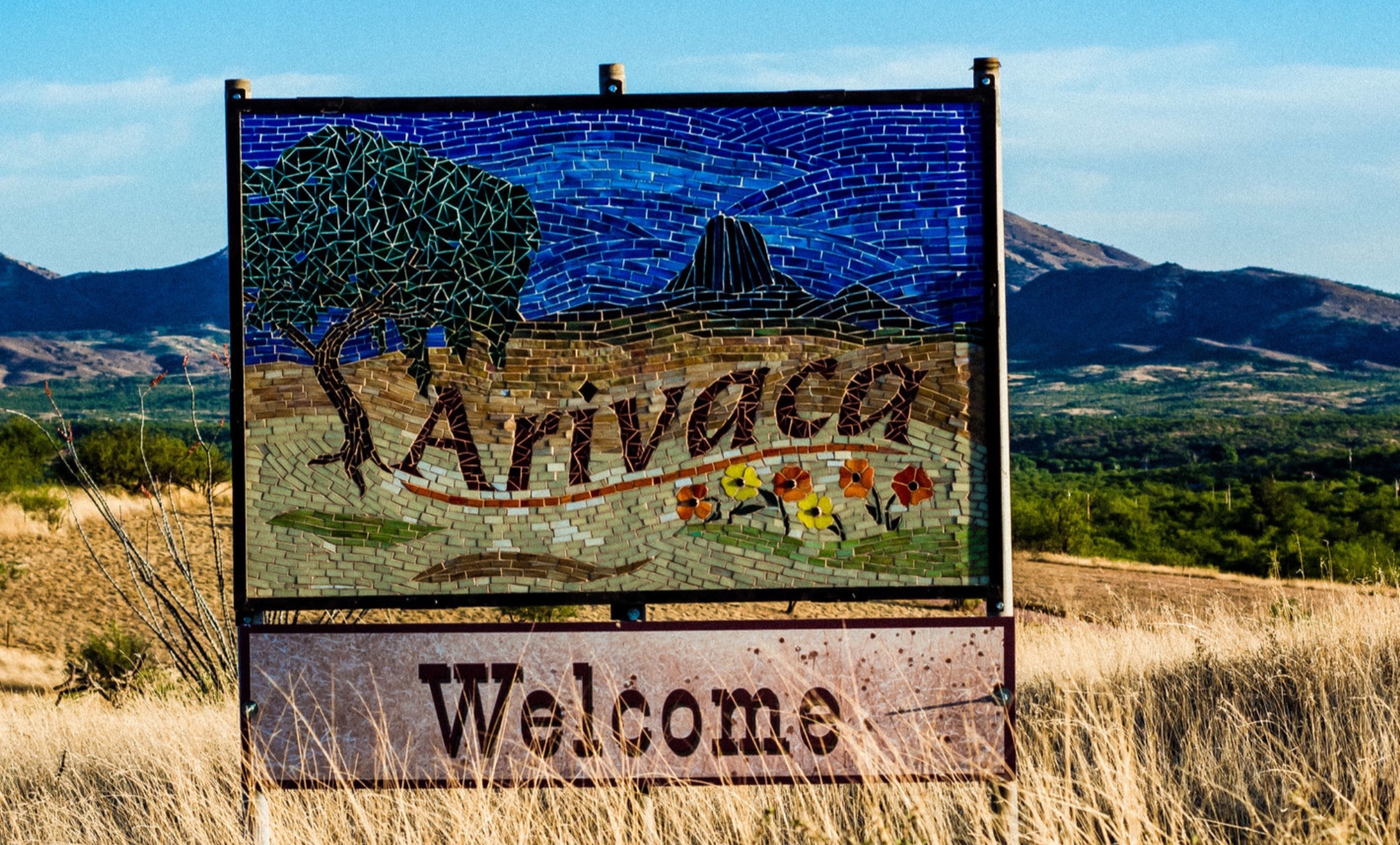 Arivaca, AZ Homes for Sale Sally Robling Your Tubac Realtor